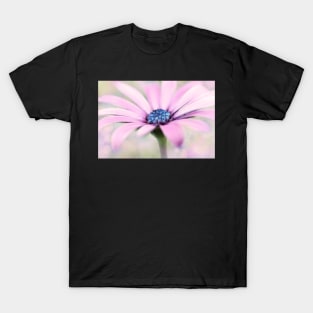 Daisy Dream T-Shirt